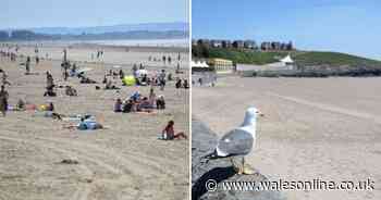 Vast differences between Wales and England on hottest day of 2020