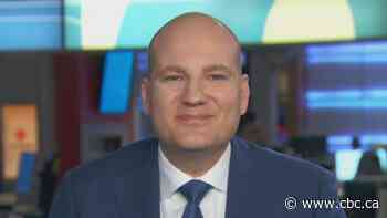 Court rules Jim Karahalois should be back in the Conservative leadership race