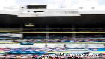 Woodbine postpones Pattison International thoroughbred race for a year - Lethbridge News Now
