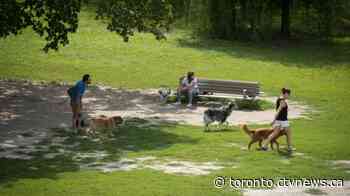 Toronto to reopen amenities like basketball courts, picnic shelters in hundreds of parks
