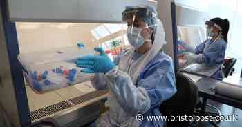 Two more people have died with coronavirus in Bristol