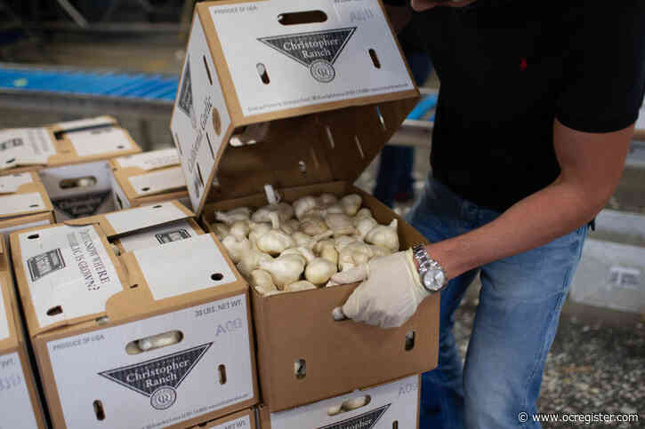 Garlic shortage hits, a side-effect of the coronavirus pandemic