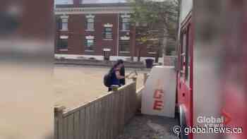 Man smashes windows at Saskatoon’s Bus Stop Refreshments