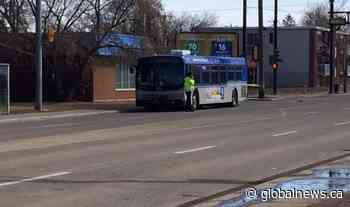 Edmonton bus driver fined in fatal pedestrian collision - Globalnews.ca