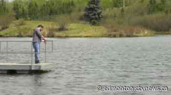 Fish return to 2 Edmonton-area ponds after outbreak of disease in 2016 - CTV News Edmonton