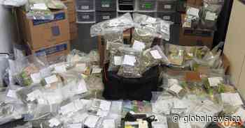 5 people charged in illegal ‘CannaBus 780’ delivery service: Edmonton police - Globalnews.ca