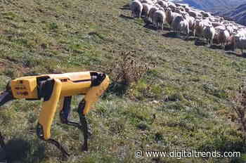 Digital Trends Live: Facebook opens Shops, Josh Radnor, robot sheepdogs