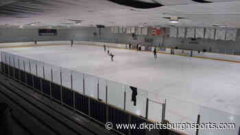 Report: NHL players able to resume skating in Ottawa after rink re-opens - DKPittsburghSports.com