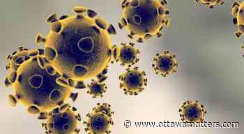 More COVID-19 deaths bring Ottawa toll over 200 - OttawaMatters.com