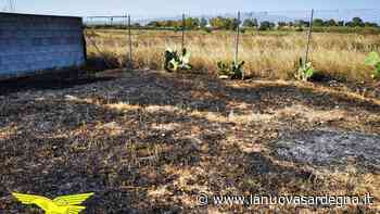 Quartu, brucia l'erba secca e le fiamme arrivano fino a Molentargius e a un'auto in sosta - La Nuova Sardegna