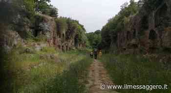 Sito archeologico di Faleri, erba alta e incuria sulla Via Amerina: «Interveniamo» - Il Messaggero