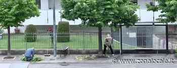 Quartiere San Paolo, cittadini con zappa e carriola: lo sfalcio dell'erba è fai da te - Zonalocale Lanciano