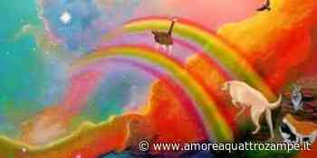 Il Ponte dell’arcobaleno, un luogo magico per cani e gatti volati in cielo - www.amoreaquattrozampe.it