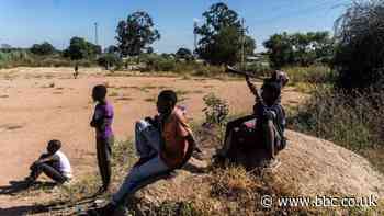 Coronavirus: Zimbabwe allows 'low risk' sports with immediate effect - BBC News