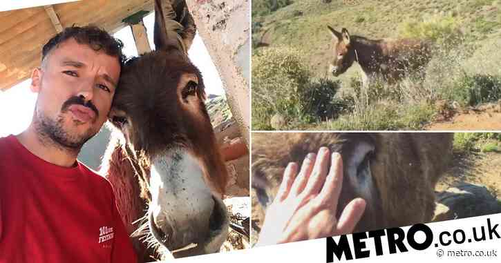 One man and his donkey have emotional post-lockdown reunion