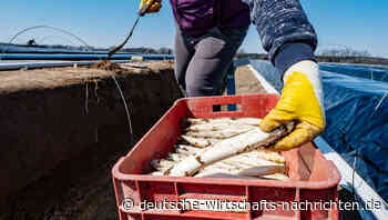 Bauern: Mit digitaler Job-Börse gegen drohenden Ernteausfall