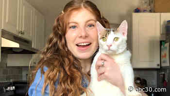 Long Island Community Journalist adopts a cat during the coronavirus pandemic