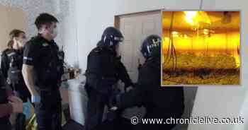 See police raid cannabis farm with 'booby trap' and barricaded doors