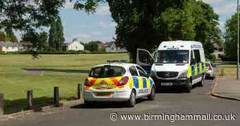 Two men knifed by gang wearing balaclavas in park