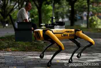 Coronavirus: Robot Dog on Park Patrol in Singapore