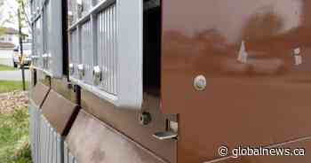 South Edmonton community mailbox vandalism latest in string of thefts