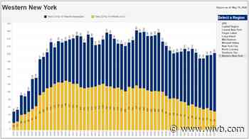 New data shows slight growth in local coronavirus hospitalizations