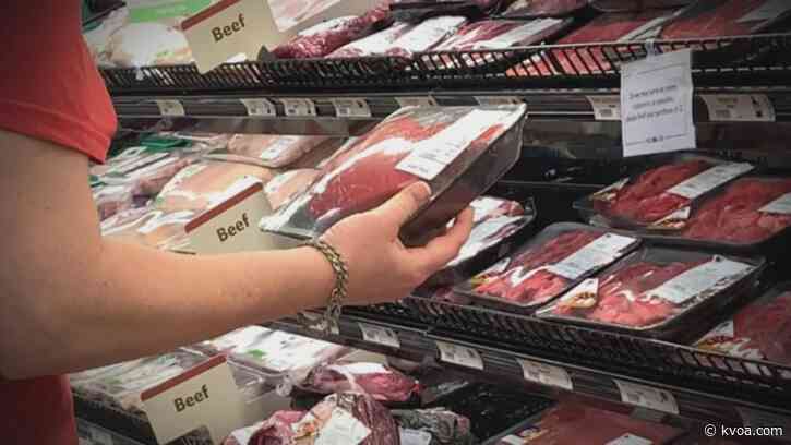 Searching for meat alternatives during the coronavirus crisis