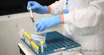 Seven new deaths in North East hospitals announced