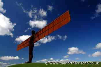 Gateshead council sets up coronavirus support website - The Northern Echo