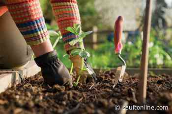 CEFA Offers French Online Beginner Gardening Workshop