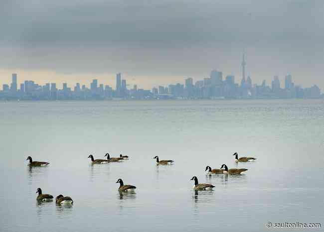 COVID-19 economic slowdown has cut air pollution in Canadian cities
