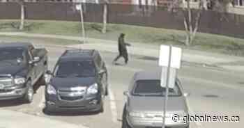 Edmonton police seeking tips after ‘violent, random’ attack on senior woman