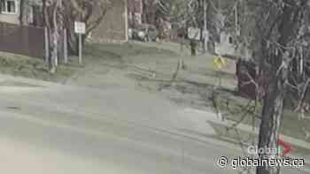 Edmonton police video of northeast random assault suspect