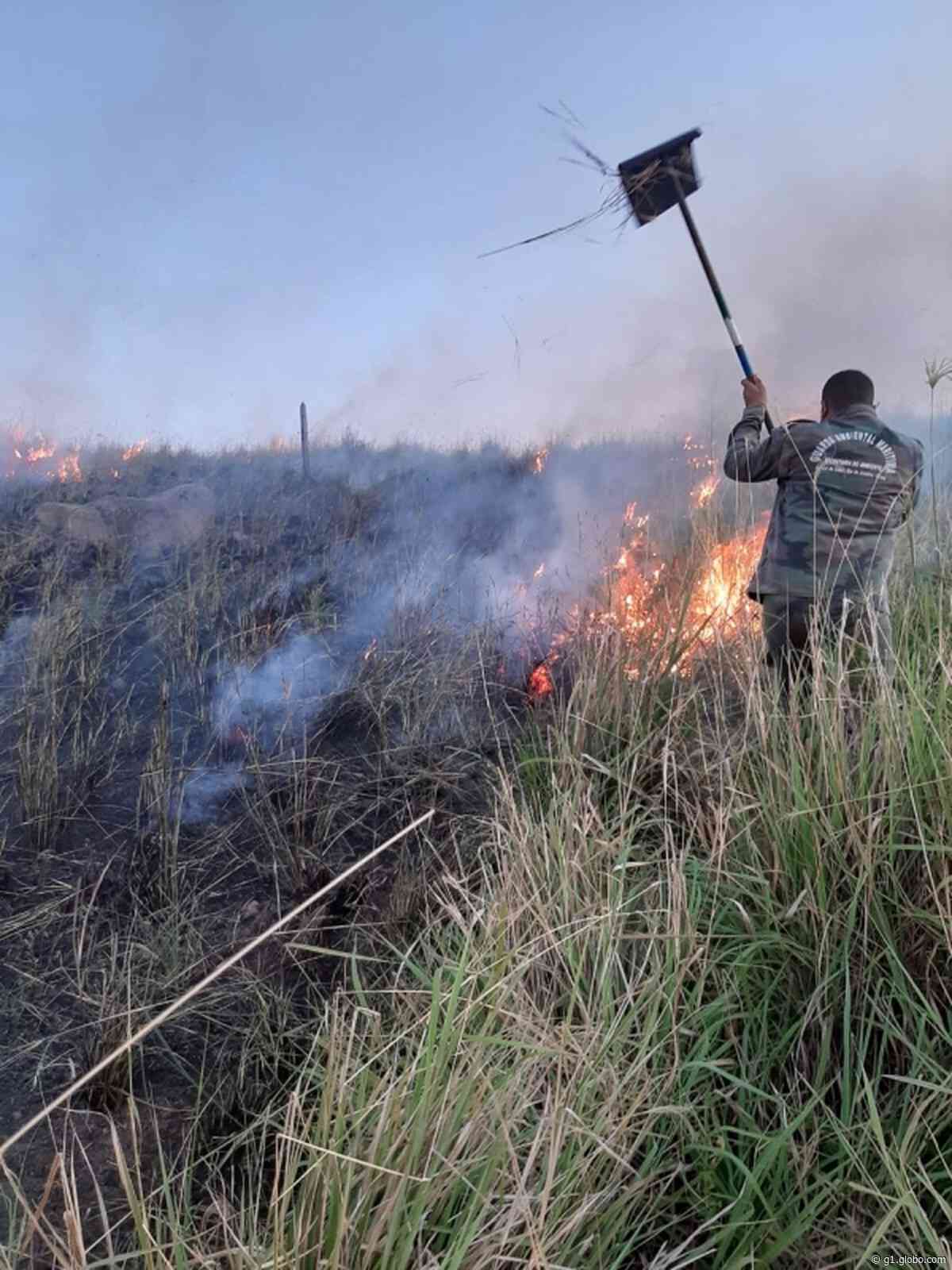 Guarda Ambiental combate incêndio em área de vegetação em Arraial do Cabo, no RJ - G1