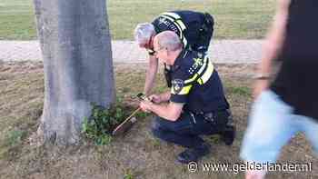 Kinderen vinden oefengranaat bij speelplaats in Terborg