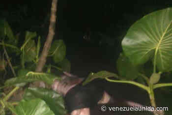 Raptaron y decapitaron a un hombre en Caicara del Orinoco para robarle su moto - http://venezuelaunida.com/