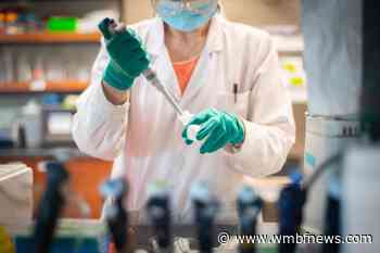 CCU, Conway Medical Center partner to develop rapid testing method for COVID-19 - WMBF