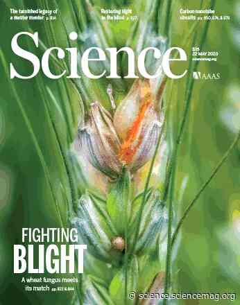 COVID-19 spotlights medical diagnostics - Science Magazine