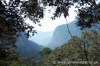 Scientists find climate change tipping point for tropical forests - St Helens Star
