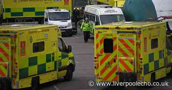 New deaths in St Helens, Knowsley and Liverpool add to region's toll - Liverpool Echo