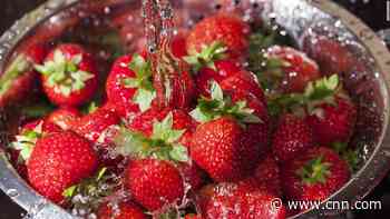 Why you shouldn't worry about eating the bugs that live on your strawberries
