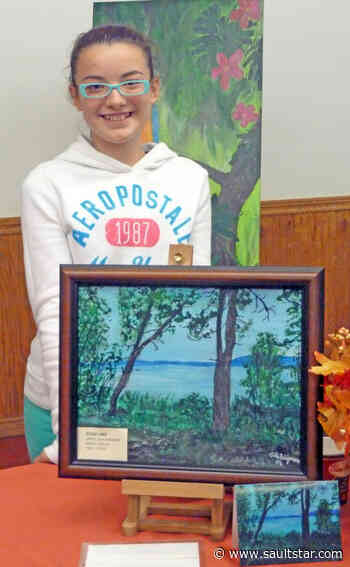 Three major Algoma art shows stroked off due to COVID-19