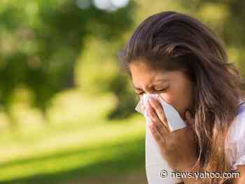 Allergy Forecast In Rhode Island: What Pollen Rates Are Expected - Yahoo News