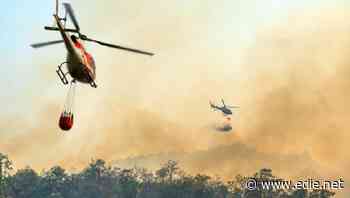 Sir David Attenborough backs new conservation crisis fund