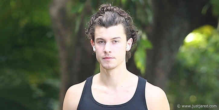 Shawn Mendes Goes for a Solo Stroll Amid Quarantine in Miami