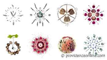 Moments of Peace: Mandala Making with a Rhode Island Artist - Providence Media