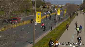 Should Toronto consider more temporary bikeways? - CityNews Toronto
