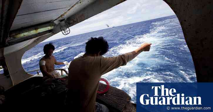 Disappearances, danger and death: what is happening to fishery observers?
