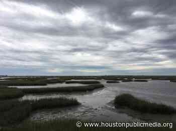 This Houston Nonprofit Is Paying Coastal Landowners To Help Fight Climate Change By Storing CO2 In Their Marshes - Houston Public Media