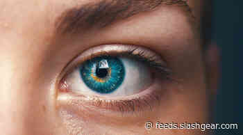 Biomimetic eye prototype brings cyborgs closer to reality